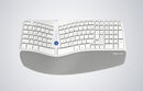 Wireless Ergonomic Keyboard Delux GM901D BT+2.4G (white)