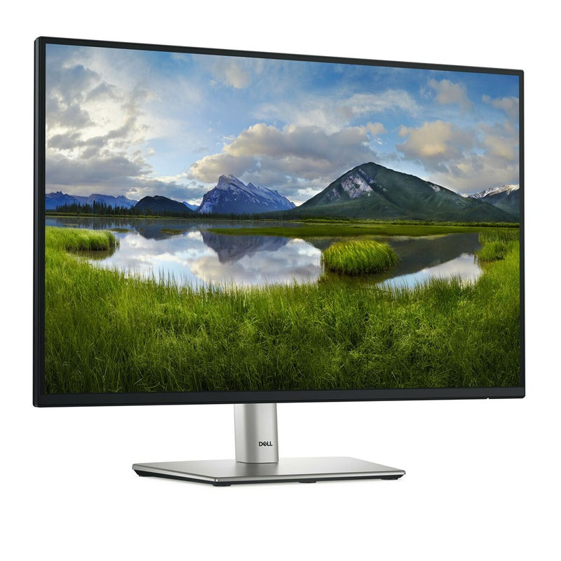 Monitor Dell P2425  24,1" HD WUXGA 100 Hz-10