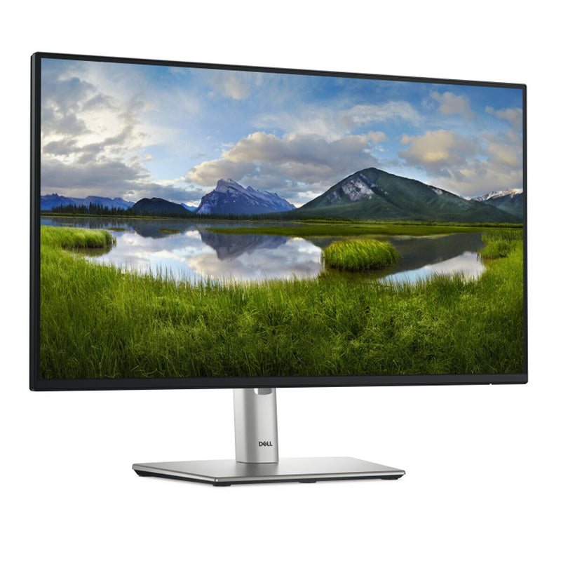 Monitor Dell P2425H Full HD 24" 100 Hz-11