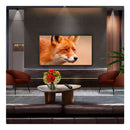 LG 55C54LA 55´ 4K OLED TV